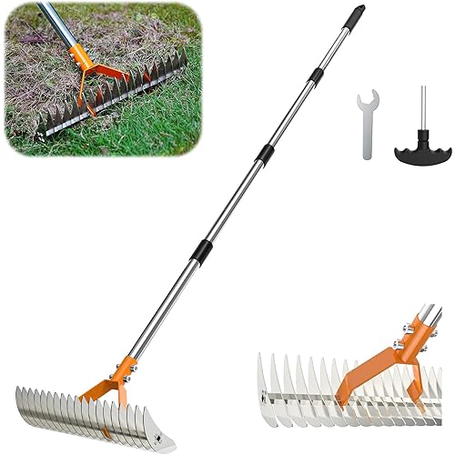Thatch Rake, 15inch Wide Dethatcher Rake with Double-Sided Thickening Tines, Dethatching Rake with Stainless Steel Handle for Lawn Cleaning Soil Loosening