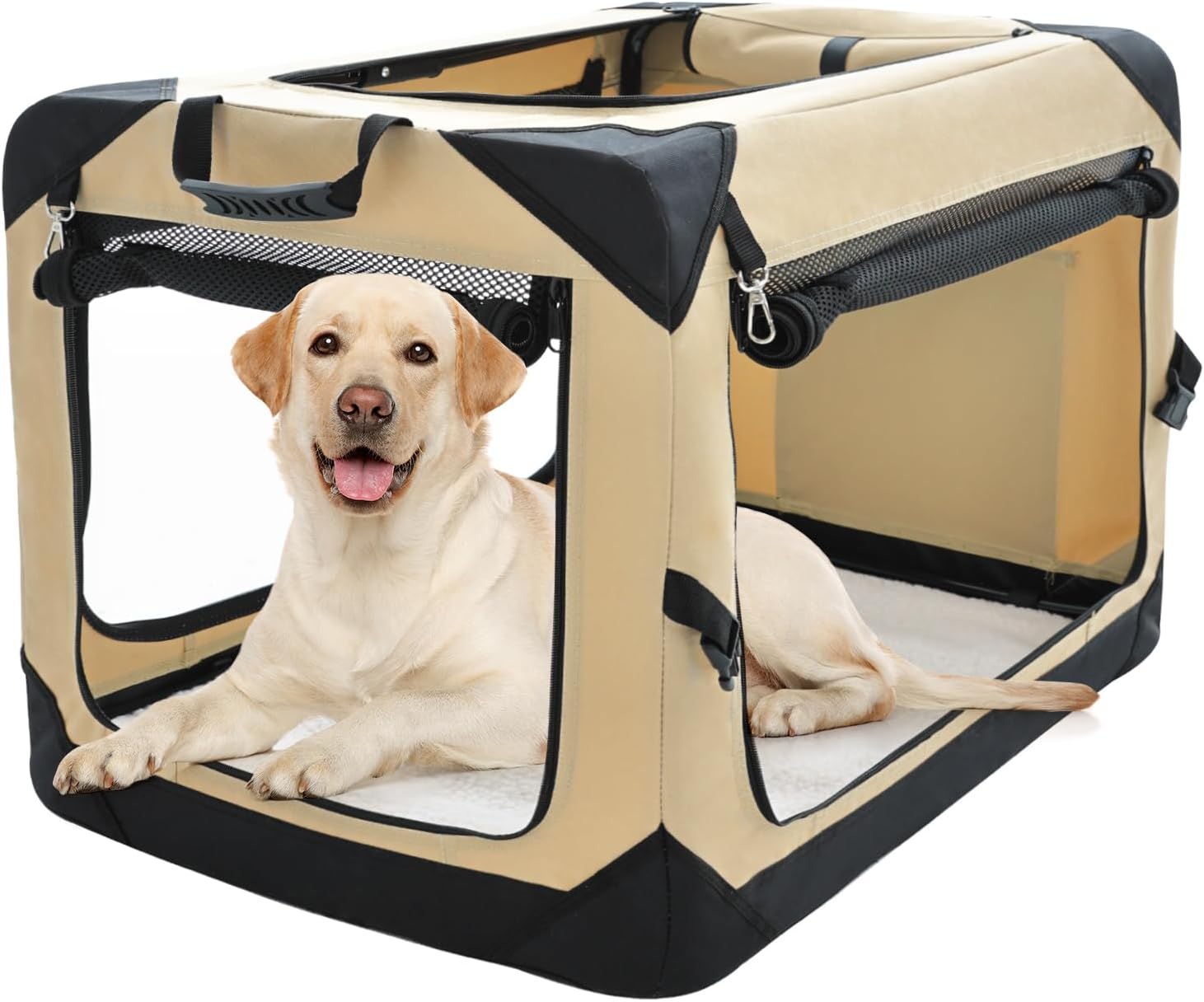 New Puppy Starter Kit