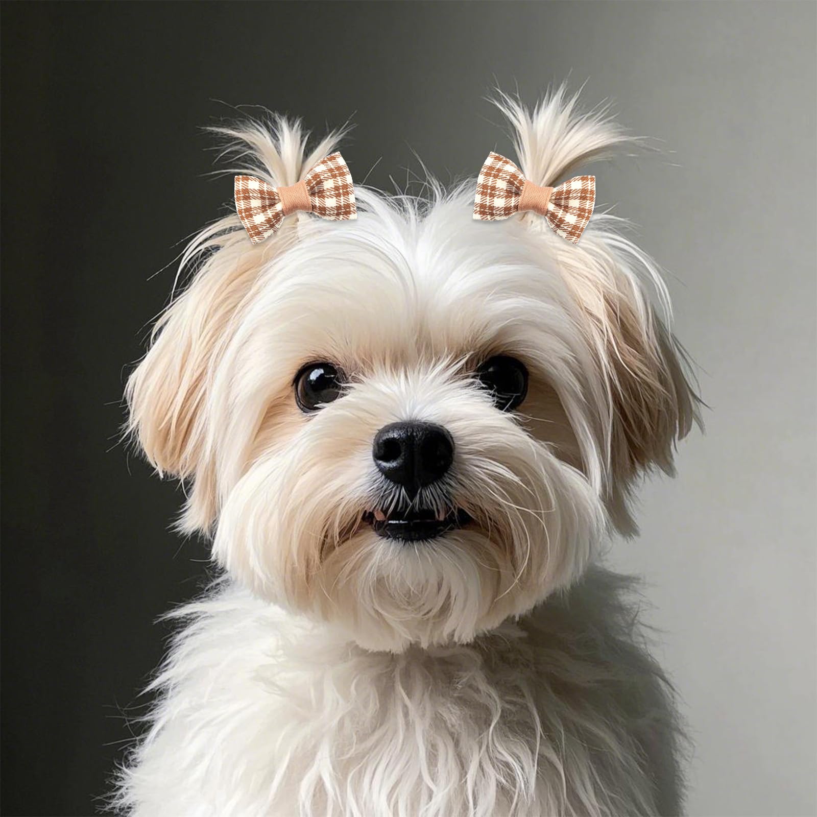 BOXOB 20pcs Nœuds pour Poils de Chien, Nœuds Marron pour Chien de Petite Taille Nœuds Mignons pour Chiens Nœuds pour Chiots à Fleurs Élastiques pour Poils de Chien Nœuds pour Poils de Chiot