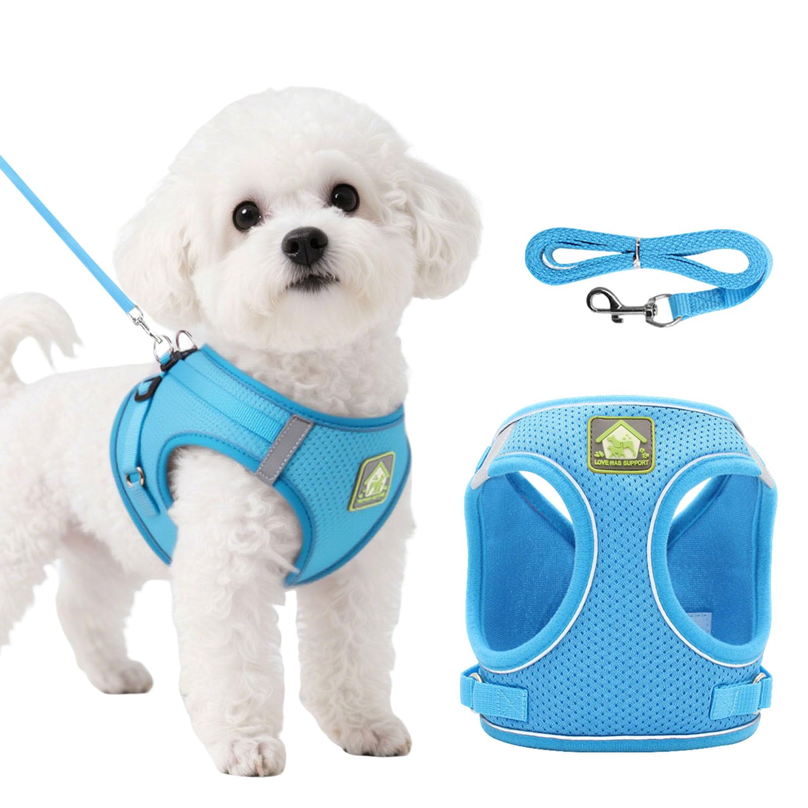 DOINEUFL Puppy Harness, Dog Harness and Leash Set, Soft Mesh Reflective Breathable Lightweight Vest-Style Dog Harness with Safety Buckle for Small and Medium Dogs, Cats, Puppies (Blue, M)