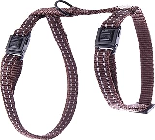 Amazon Fr Colliers Harnais Et Laisses Pour Chats Martin Sellier Colliers Harnais Et Animalerie Amazon Fr Colliers Harnais Et Laisses Pour Chats Martin Sellier Colliers Harnais Et Animalerie