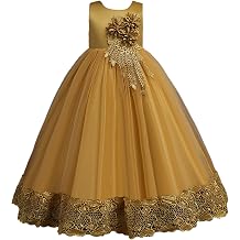 Little Big Girl Vintage Flower Tulle Dress Formal Puffy Princess Maxi Gown for Pageant Wedding Birthday Evening Party