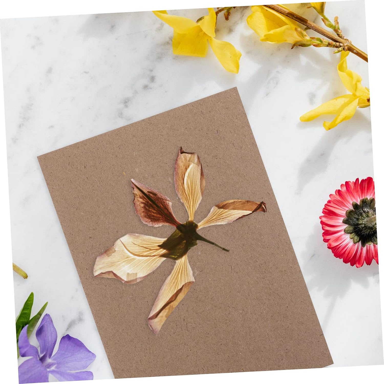Hohopeti 6sheets DIY Flower Pressing Embossed Absorbent Board Flower Press Paper for Dried