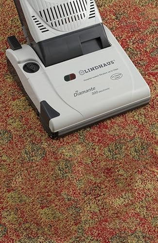 lindhaus Diamante 380 Vacuum Cleaner — efficient vacuum cleaner for domestic cleaning accessories close-up