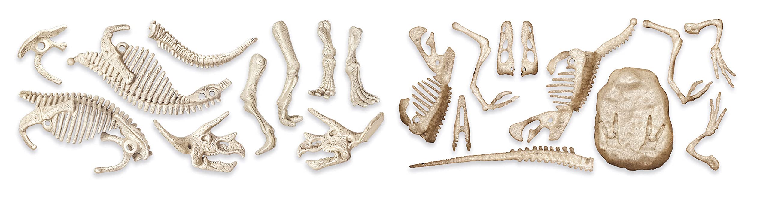 Clementoni Galileo Discovery - Set di scavi T-Rex & Fossil - Set da Modellare con Scheletro di Dinosauro con Martello, scalpello e Pasta Modellante per Bambini dai 7 Anni 59311