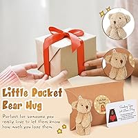 Vista 4 de Libima Juego de 12 cajas de almohada de animales de peluche con diseño de oso de bolsillo con etiqueta en blanco en forma de corazón para tu ser