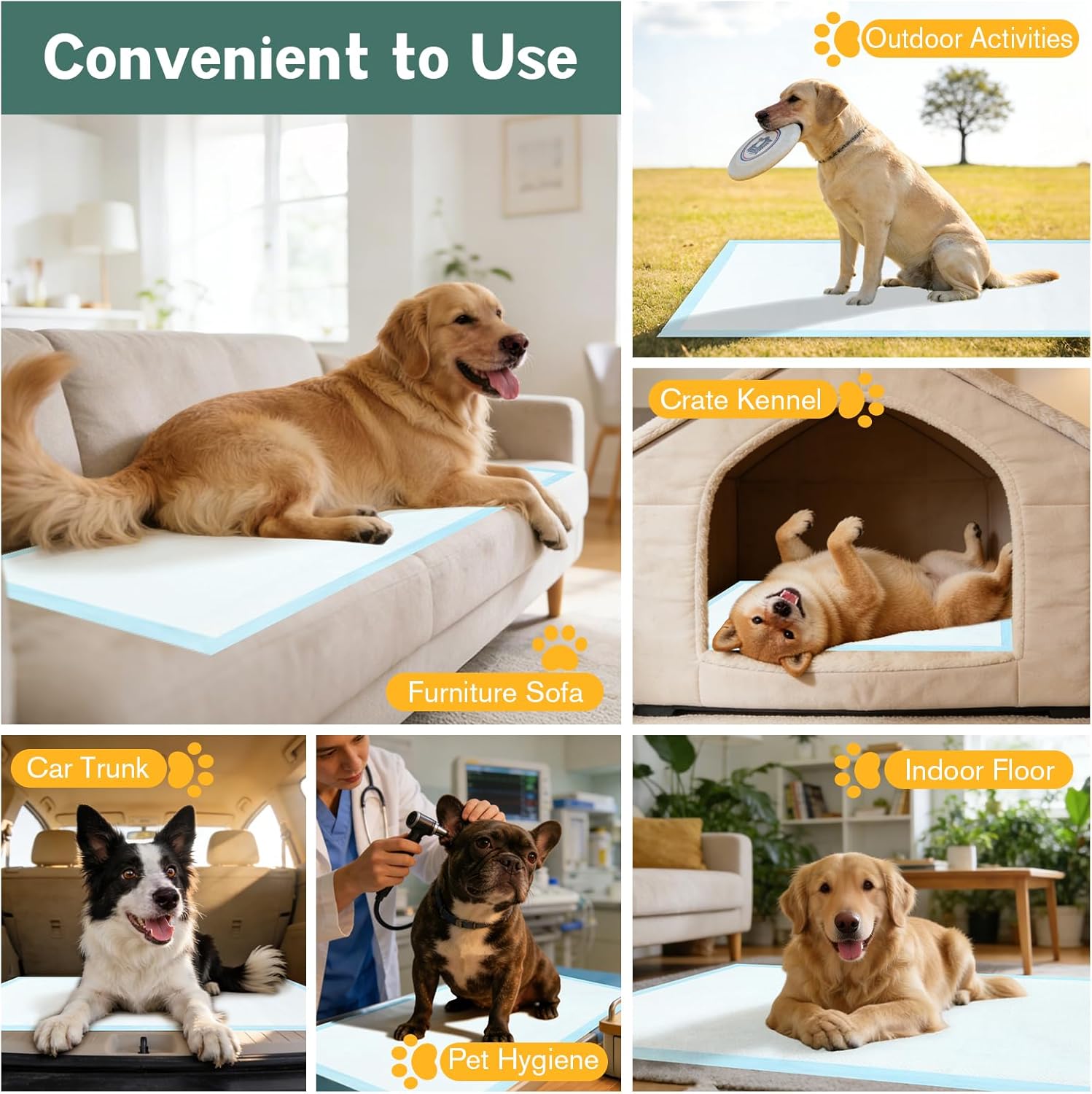 Large Puppy Pee Pads for Dogs 31" x 47" 40 Count, 6-Layer Leak-Proof XXXL Dog Pee Pads Extra Large, Super Absorbent Quick-Dry Thick Disposable Potty Training Pads