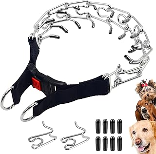 pinch collar amazon