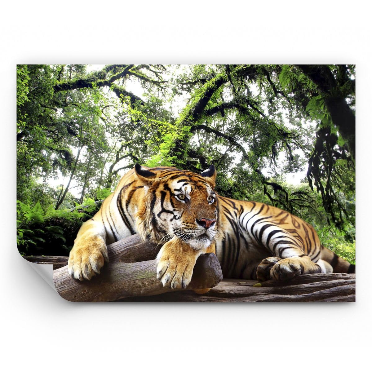 ARTTOR Carta da Parati in TNT 500x350 cm Animali - 4166 - WF1
