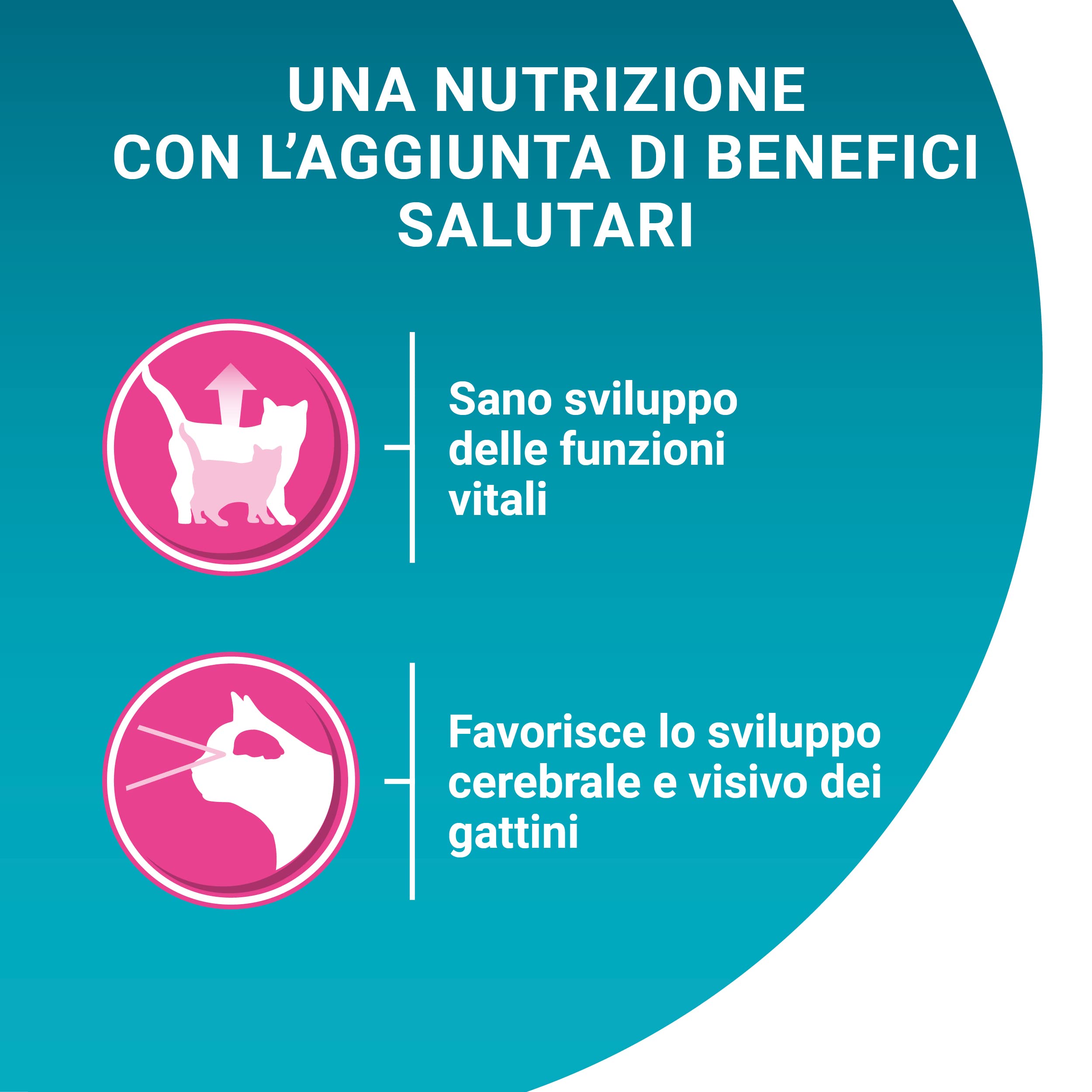 PURINA ONE Junior Cibo Umido per Gatti Cuccioli Filettini in Salsa con Pollo 4 Buste da 85g