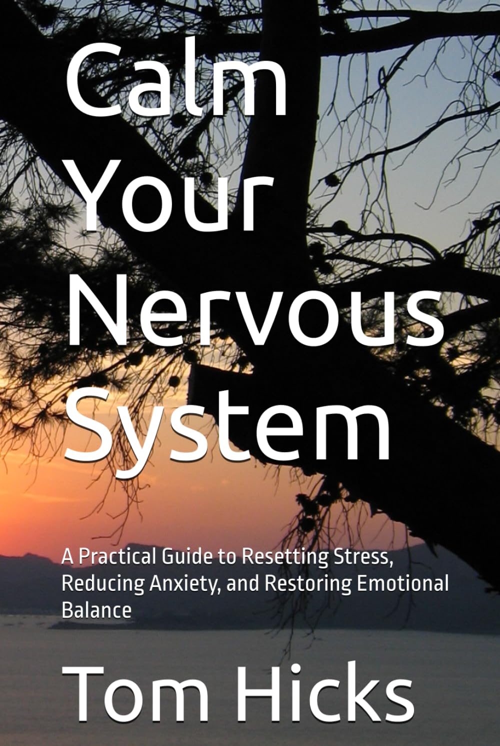 Calm Your Nervous System: A Practical Guide to Resetting Stress, Reducing Anxiety, and Restoring Emotional Balance