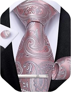 Paisley Ties for Men Silk Necktie and Pocket Square Cufflinks Tie Clip Set Woven Classic Mens Tie for Wedding Party