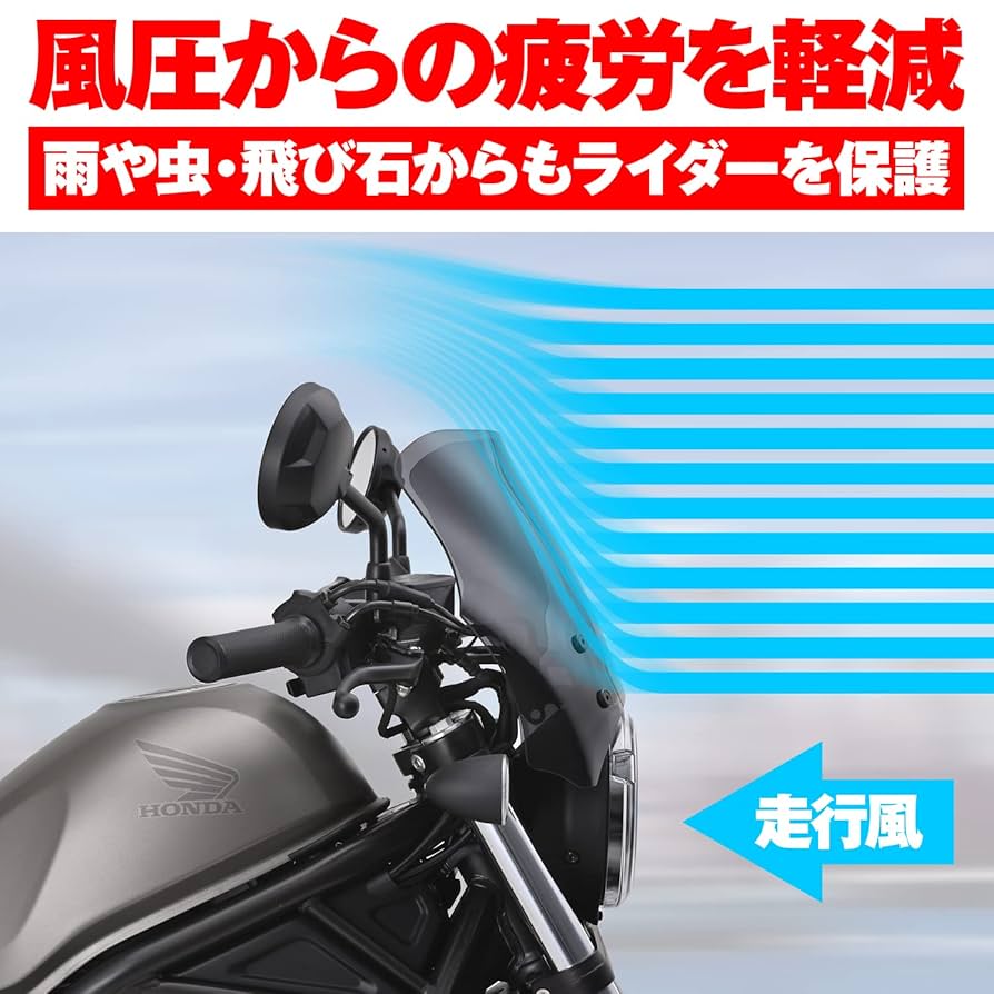 Amazon | デイトナ(Daytona) レブル250/500(20-21)専用