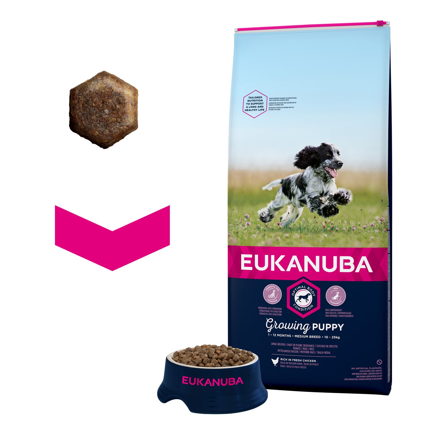 Eukanuba Puppy Welpenfutter für mittelgroße Rassen – Ausgewogenes Trockenfutter mit verbesserter, neuer Rezeptur für Welpen im Alter von 1-12 Monaten in der Geschmacksrichtung Huhn – 1 x 12kg Beutel