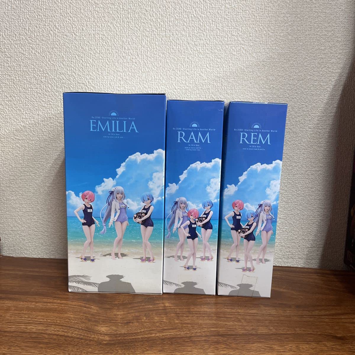 希少　レア　Re:ゼロから始める異世界生活　カラオケの鉄人　色紙　水着　エミリア Amazon.co.jp: Re:ゼロから始める異世界生活 エミリア & レム B2