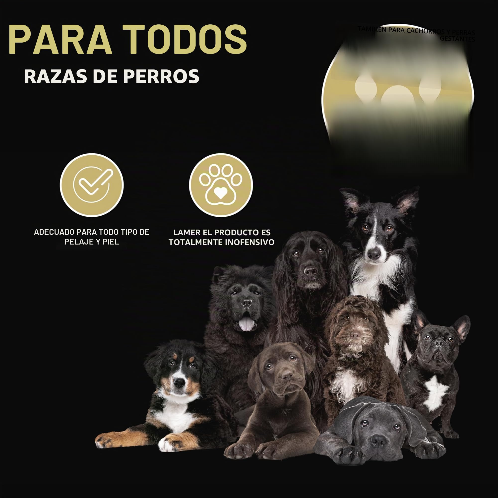 Peticare Loción para Perros Piel Sensible | En Casos de Dermatitis, eccema o neurodermatitis | Calma el picor & favorece la regeneración | Sistema PRS® Efecto prolongado – petDog Health 2100