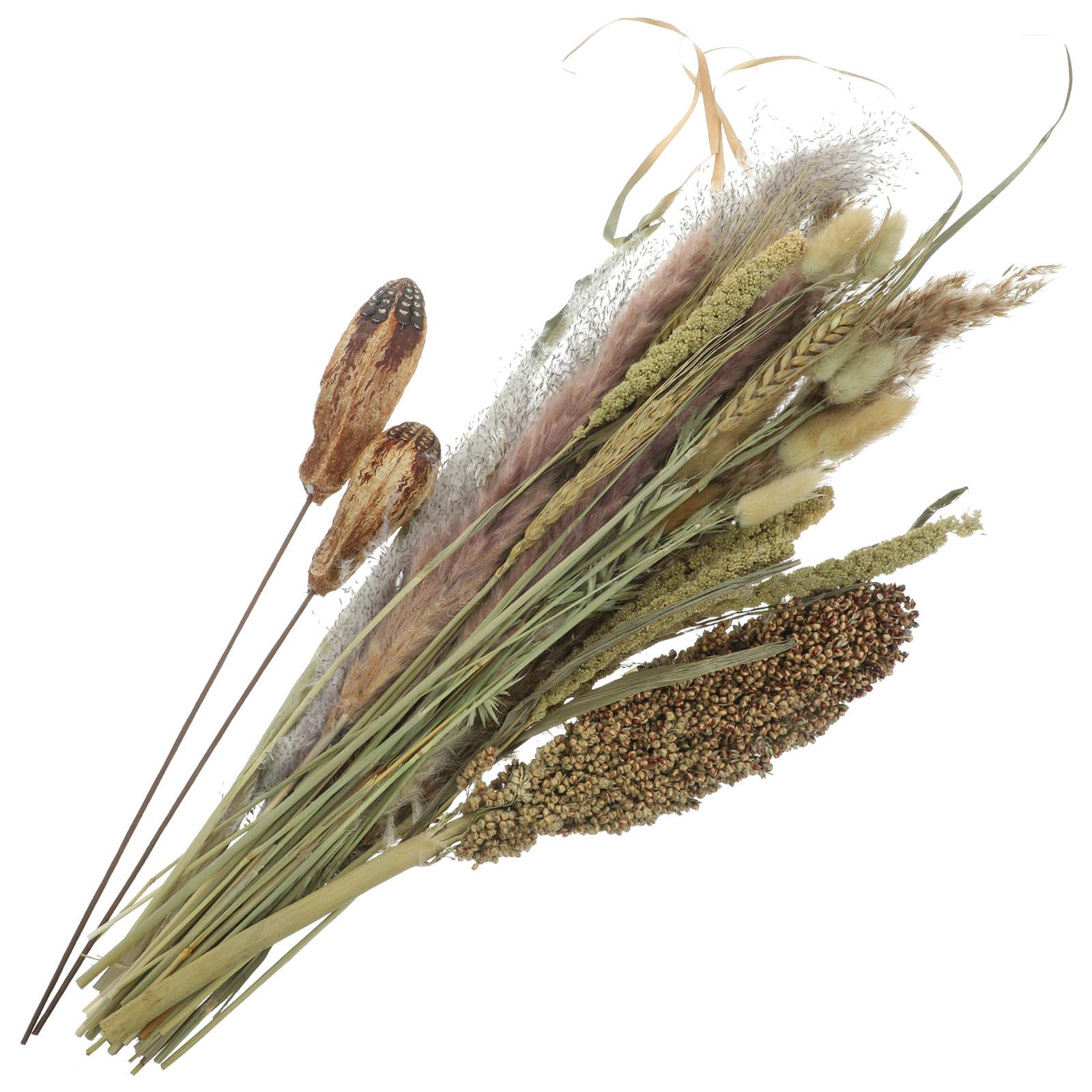 Zerodeko Ramo de Flores Secas Caña y Sorgo para Ambiente Rústico del Hogar y Jarrón, Adecuado para Bodas y Adorno Natural en Interiores