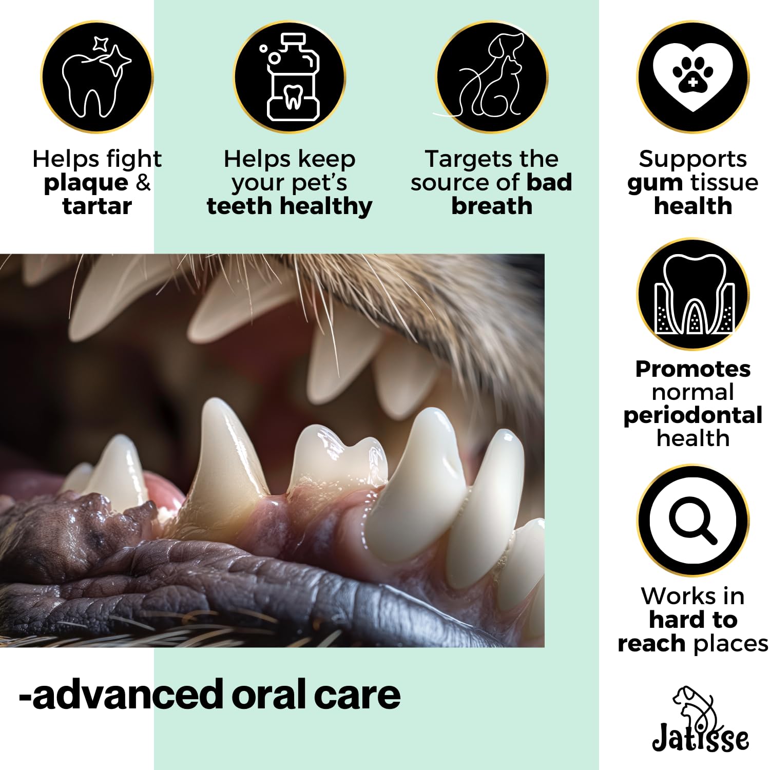 Cats and Dogs Water Additive for Oral and Dental Care: Eliminate Bad Dog Breath and Cat Bad Breath - Dog Breath Freshener - Fights Tartar & Plaque - Just Add to Water! (1.69 fl oz) - image 3