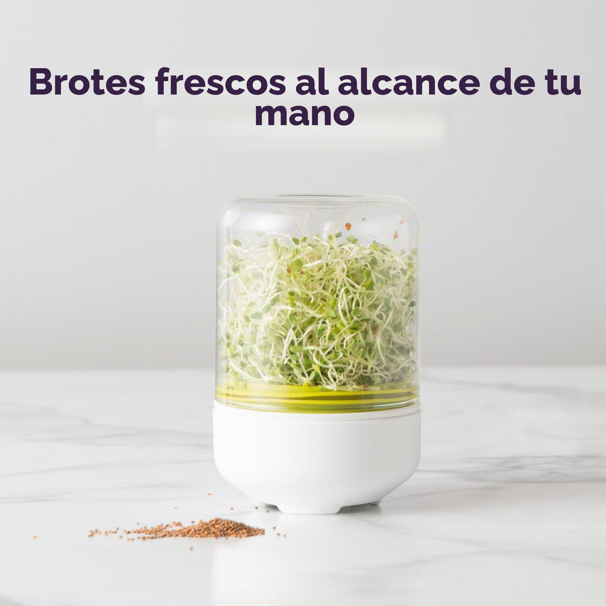 Chef'n – Germinador de Brotes y Semillas, Kit de Germinación para Cultivar Semillas de Alfalfa, Brócoli y Judías Verdes para Ensaladas, Jarra de Cristal, Caja Regalo, Color Blanco, 10 x 15 cm