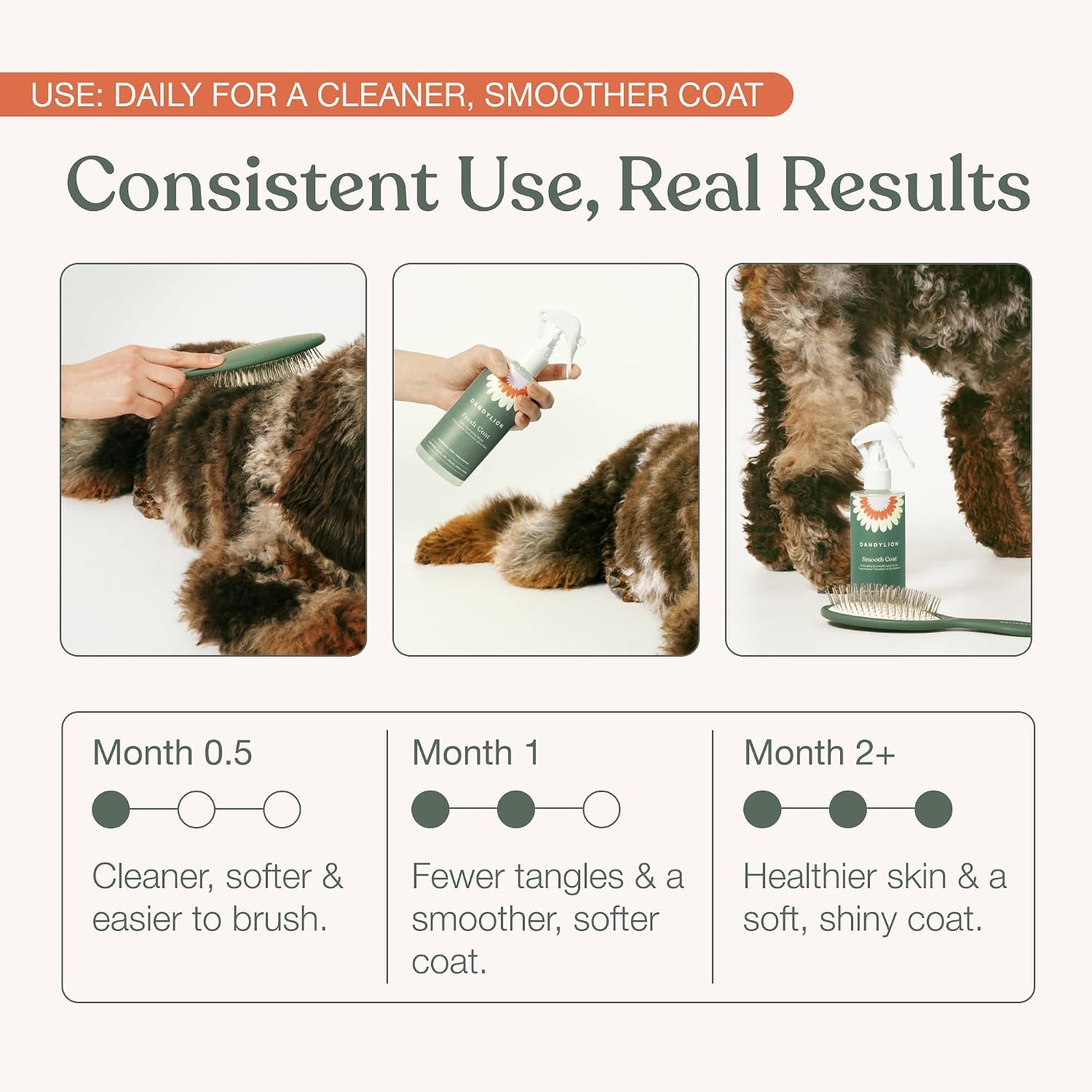 Dandylion Coat Care Trio, Waterless Shampoo, Doodle Detangler and Brush image 4