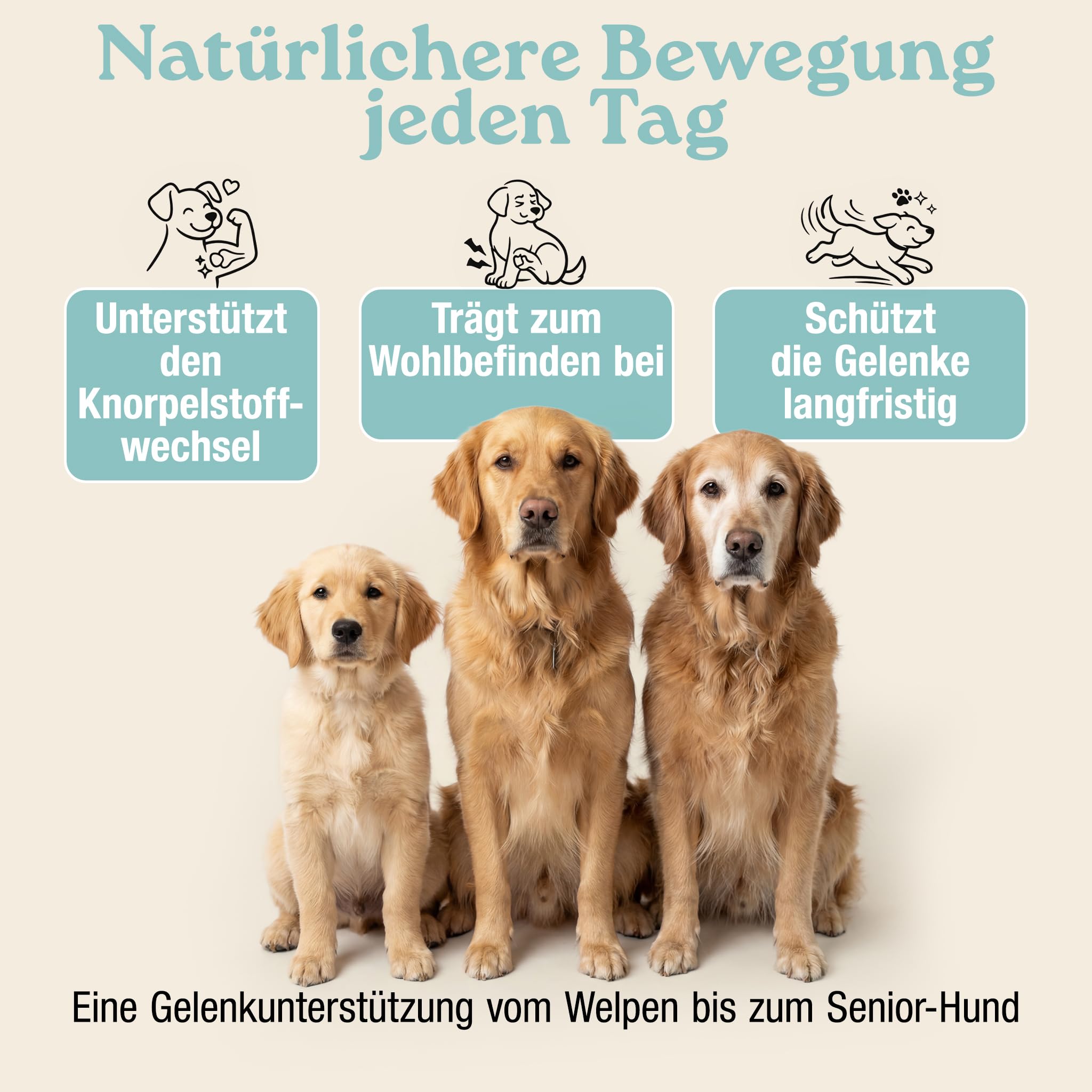 MyPetPrime Gelenke Hund 250 Tabletten | Gelenktabletten Hunde JointSupport