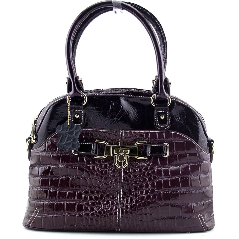 Dana Women Purple Satchel