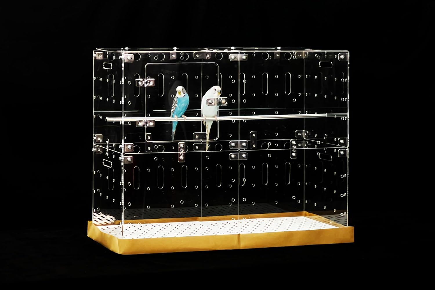 GuineaLoft™ Acrylic Cage (Model-E) – DIY Expandable Cage for Birds ... - Rear Acrylic Bird Cage Screen
