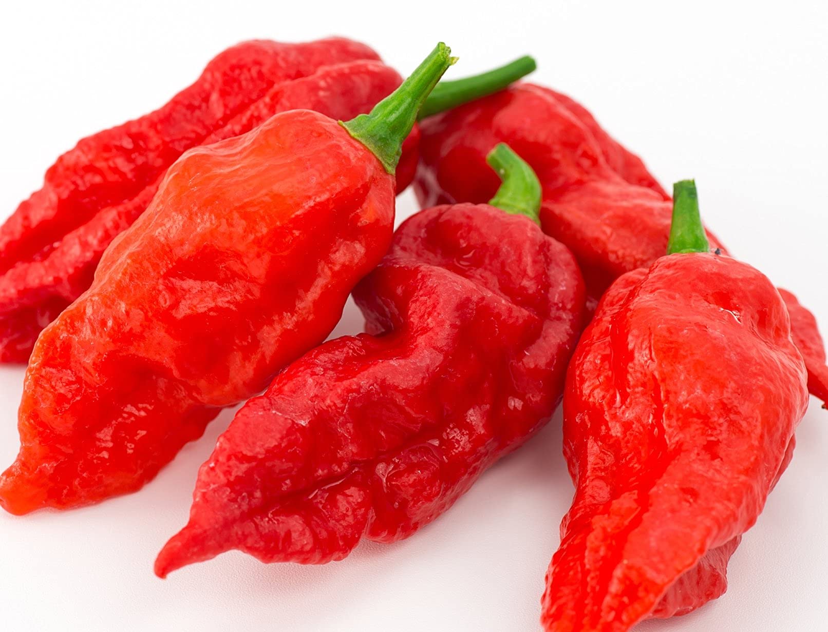 Golden Hills Farm hybrid Rare Hybrid Bhut Jolokia Chili Pepper (Ghost Chilli) 40+ seeds (B093DS8NJ2) Amazon Price History, Amazon Price Tracker
