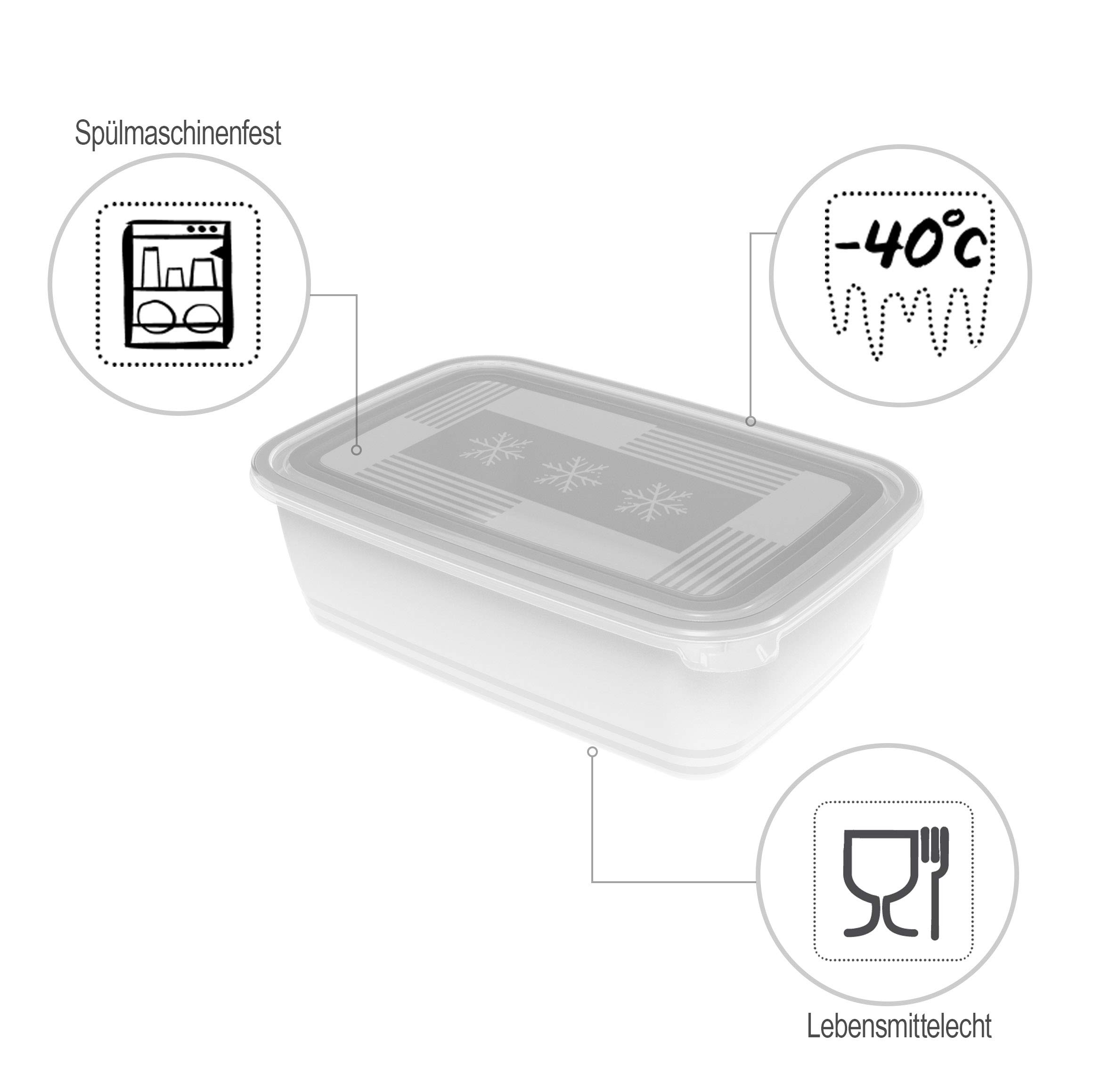 Rotho Freeze Caja congeladora de 3,7 l con tapa, Plástico (PP) sin BPA, transparente, 3.7l (29.5 x 20.0 x 9.2 cm)