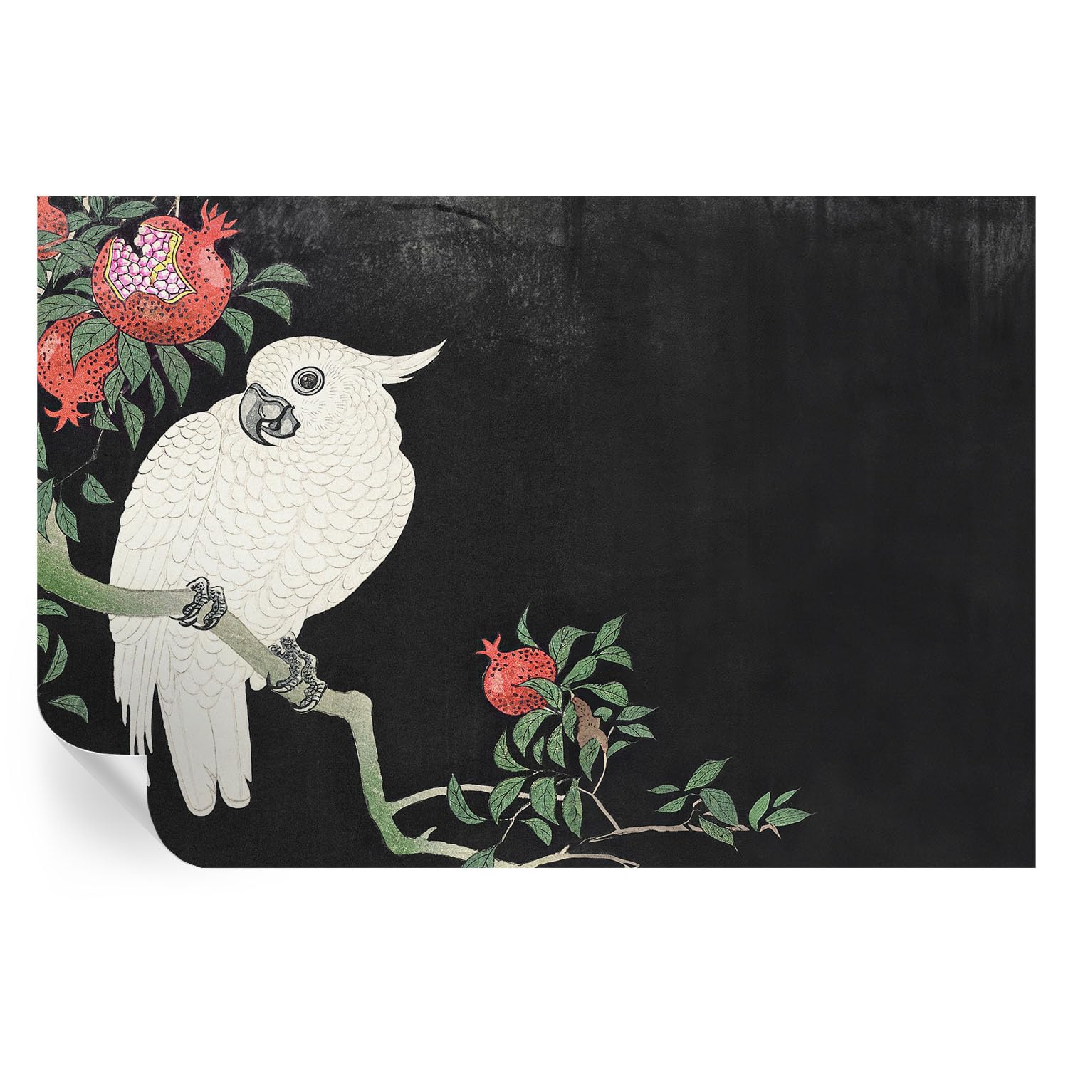 Vinilos de pared con diseño de loro granado para dar vida y color al salón de forma práctica.