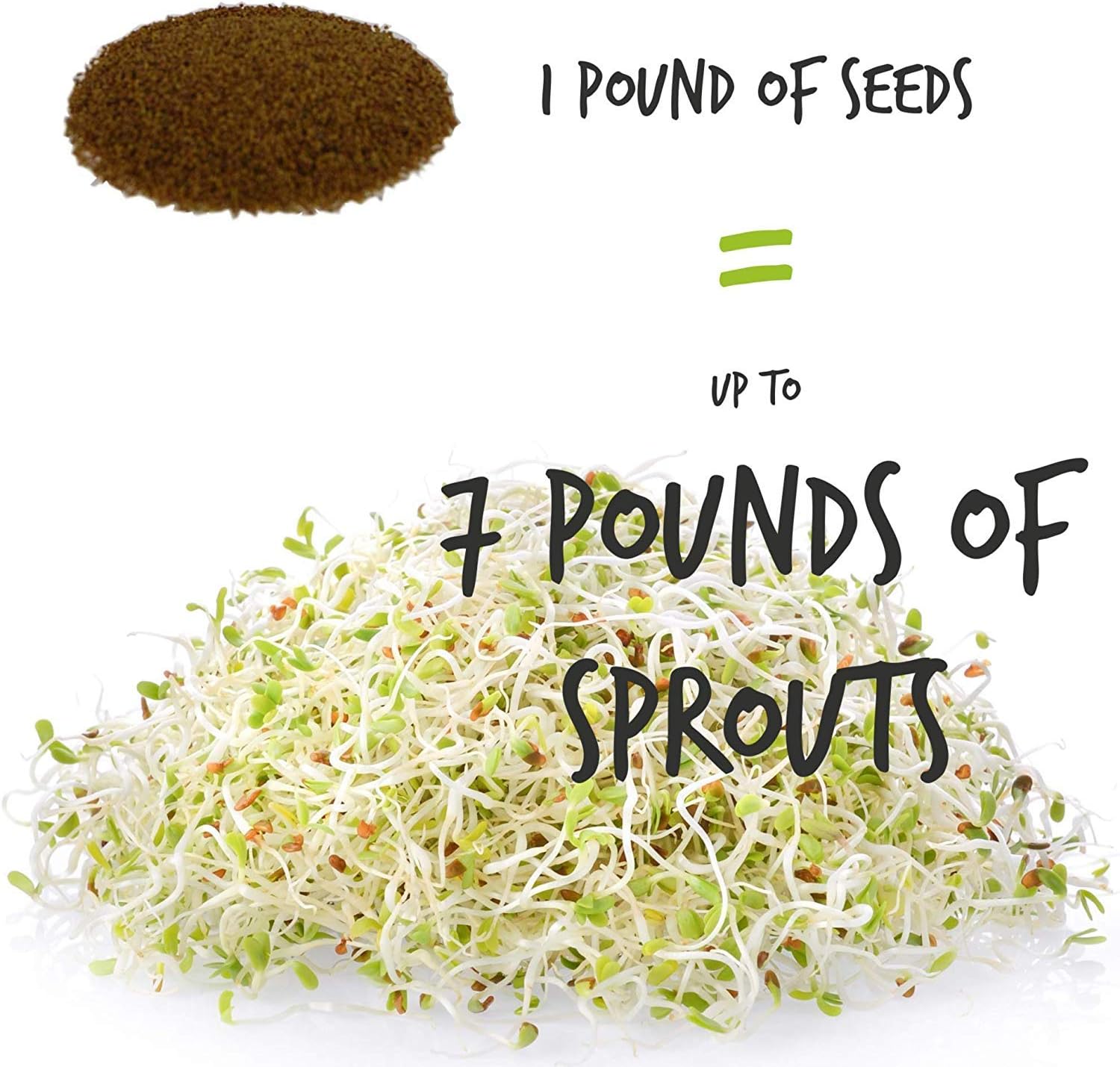 Certified Organic Alfalfa Sprouting Seed- 2.5 Lbs - Handy Pantry Brand - High Sprout Germination- Gardening, Growing Salad Sprouts, Planting, Food Storage & More