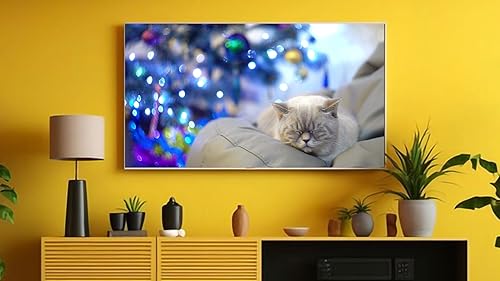 Relaxing Lullaby for Cat and Kitten On Fire TV | NO ADS