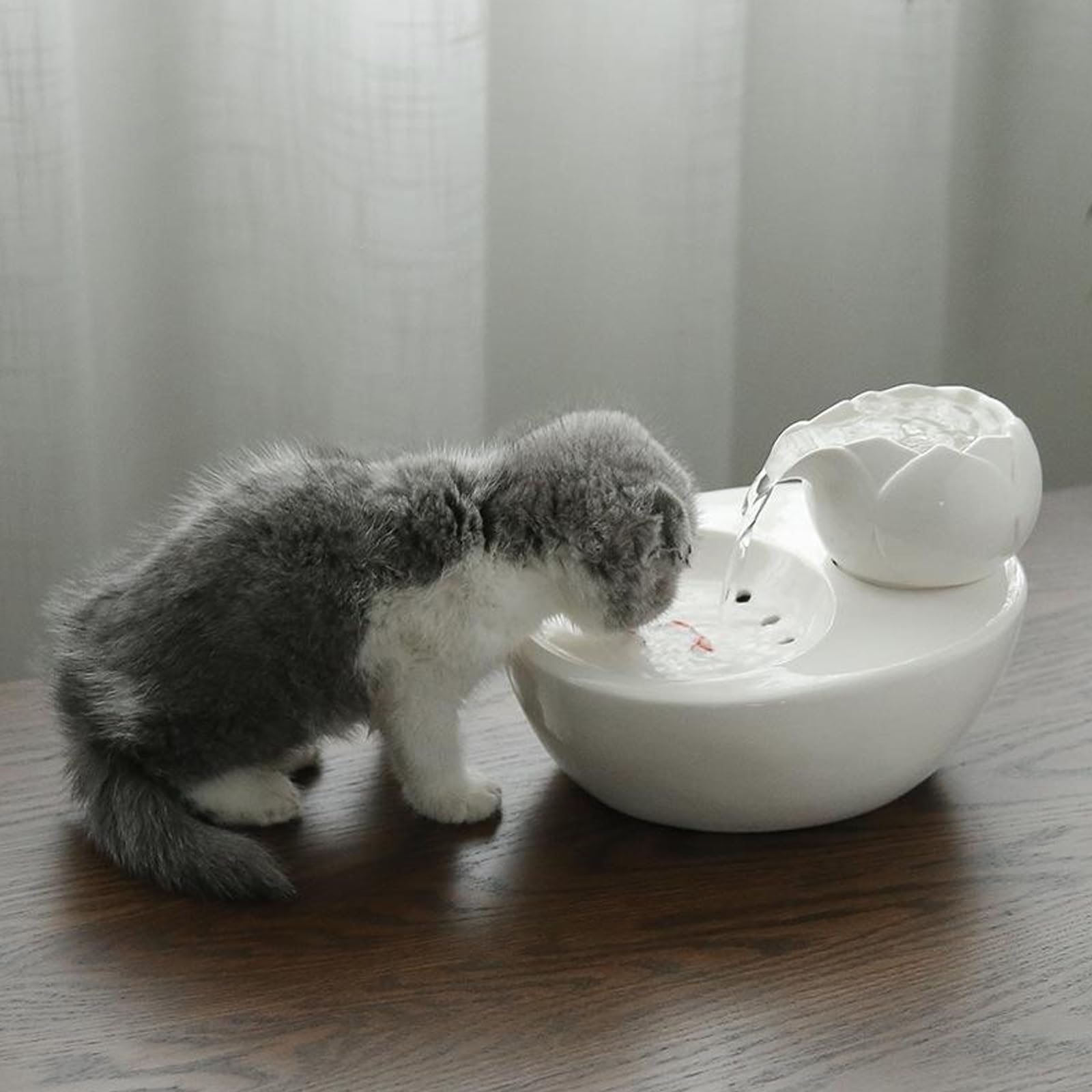 NGARY Fontana d'Acqua per Animali Domestici in Ceramica, Distributore d'Acqua per Animali Domestici da 1,0 Litri con Filtri di Ricambio, Funzionamento Ultra Silenzioso, per Cuccioli E Gattini