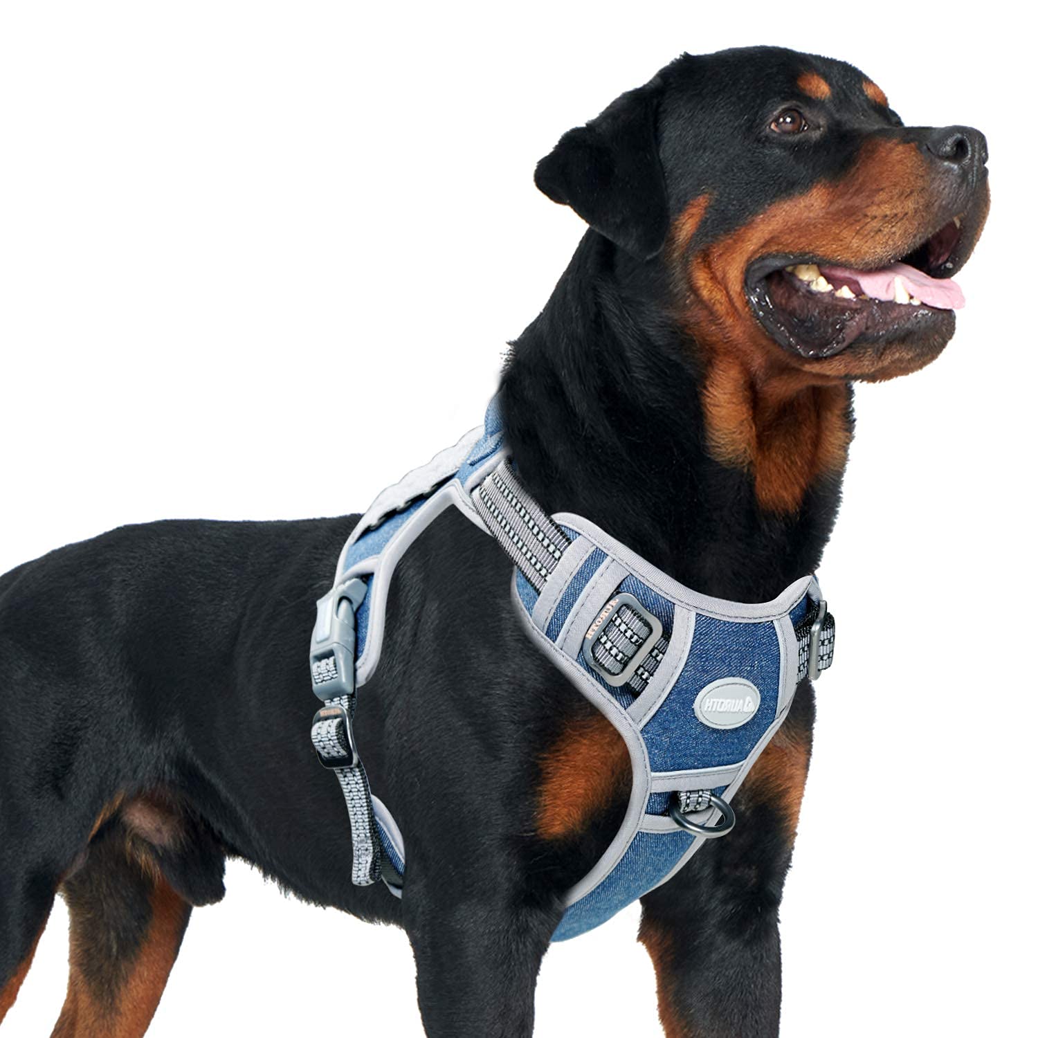 AUROTH Tactical Dog Harness for Small Medium Large Dogs No Pull Adjustable Pet Harness Reflective K9 Working Training Easy Control Pet Vest Military Service Dog Harnesses (XL, Denim Blue)