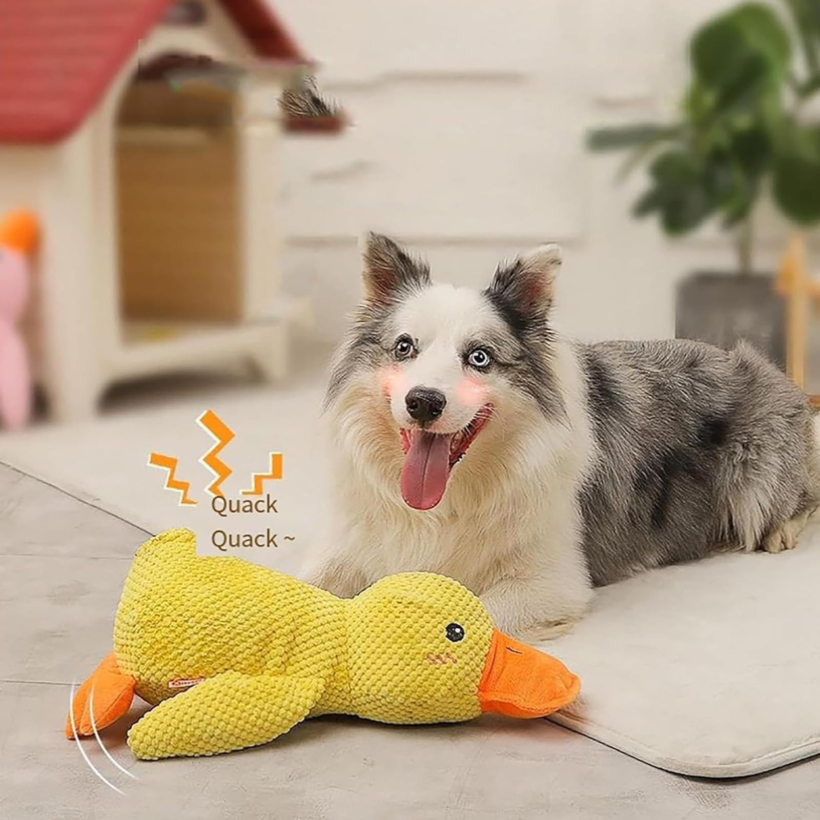 Duck Doctor Dog Toy