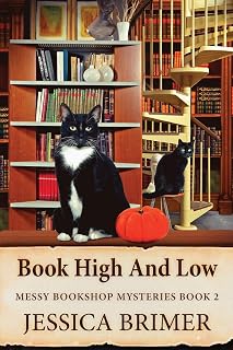 Book High And Low (Messy Bookshop Mysteries, Band 2)