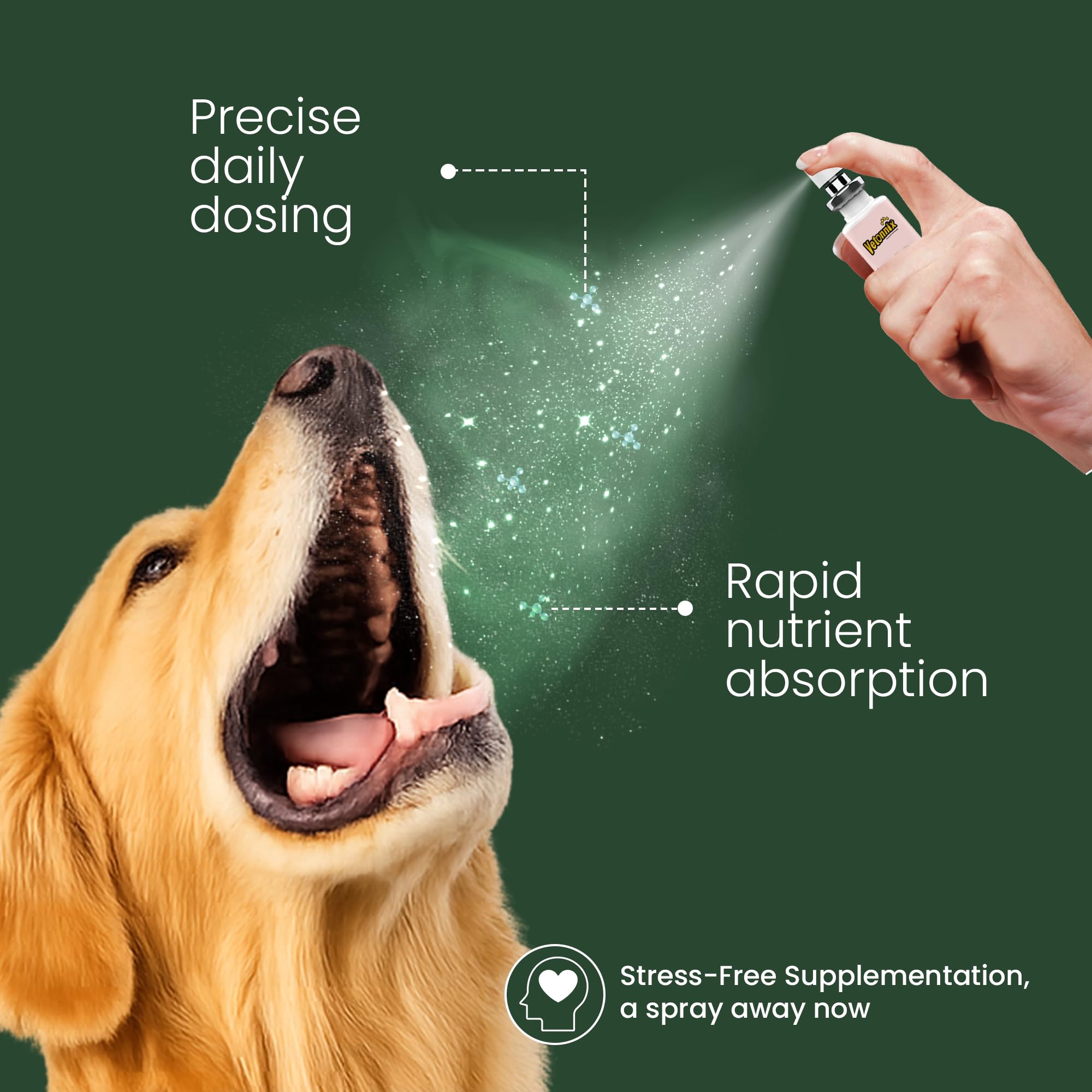 Vetonnix Hemp Seed Oil for Dogs & Cats | Dog & Cat Calming Spray | Reduces Anxiety, Prevents Skin Allergies, Stress Relief | CBD Oil for Dogs | 3X Absorption Than Oil, Strips | Oral Spray - 20 ml 3