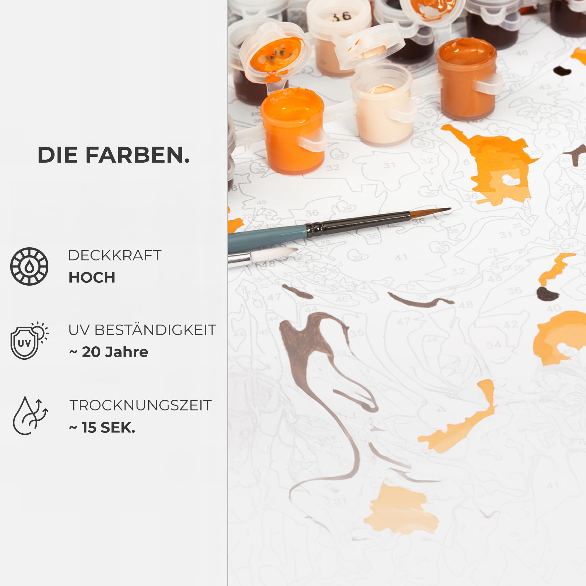 Malen Nach Zahlen Schädel Auf Schwarzem Hintergrund – Komplettset Für Erwachsene, 40x50 Cm