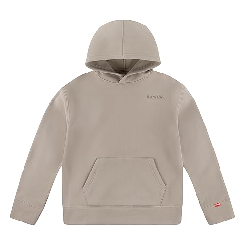 Levi's Boys' Batwing Pullover Hoodie
