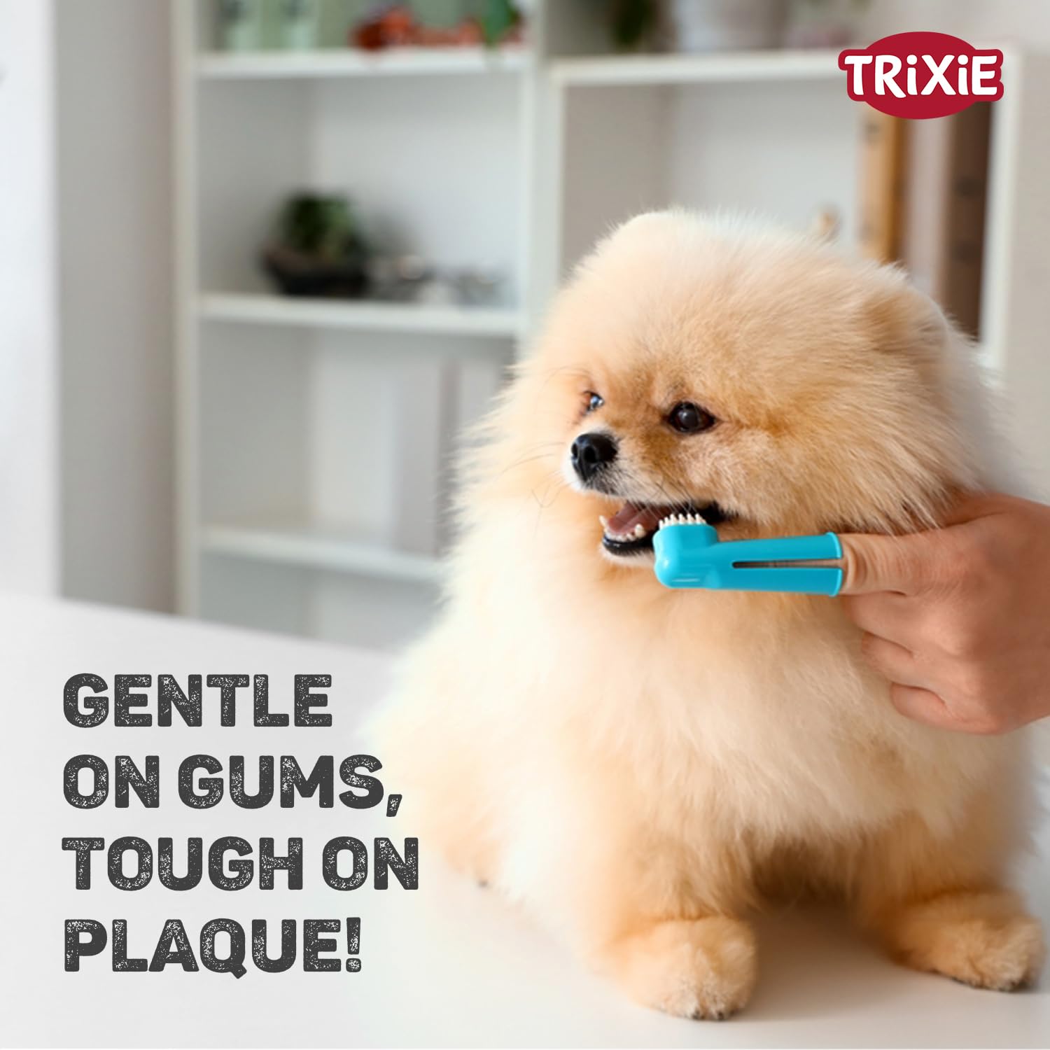 Trixie: - Tooth Brush Set | Finger Brush for Dogs and Cats | Made with Soft Bristles to Gently Clean Teeth, Prevent Gum Disease and Tooth Decay | Helps in Providing Dental Care – Pack of 2 (6cm) 4