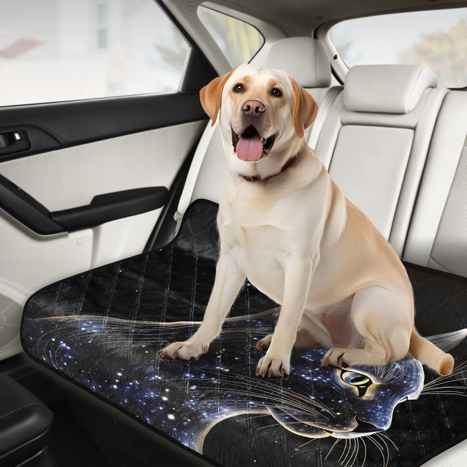 Cat Starry Sky Pet Mat Reusable Feeding Mats for Food and Water Non-Slip Pee Pads for Dogs Cats 2 Packs