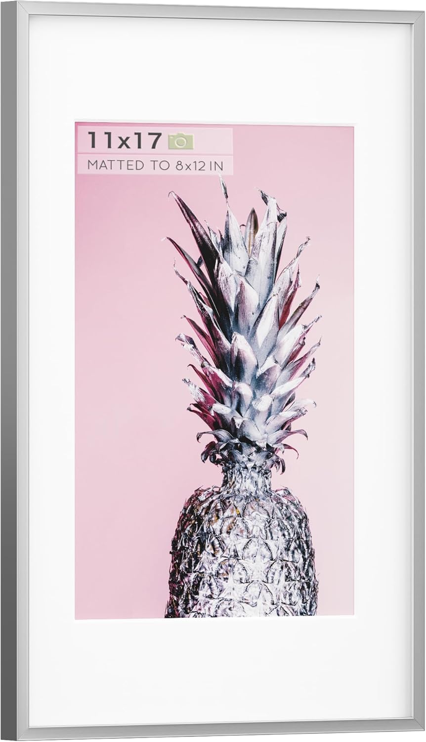 Homeforia 11x17 inch Metal Picture Frame 11 x 17