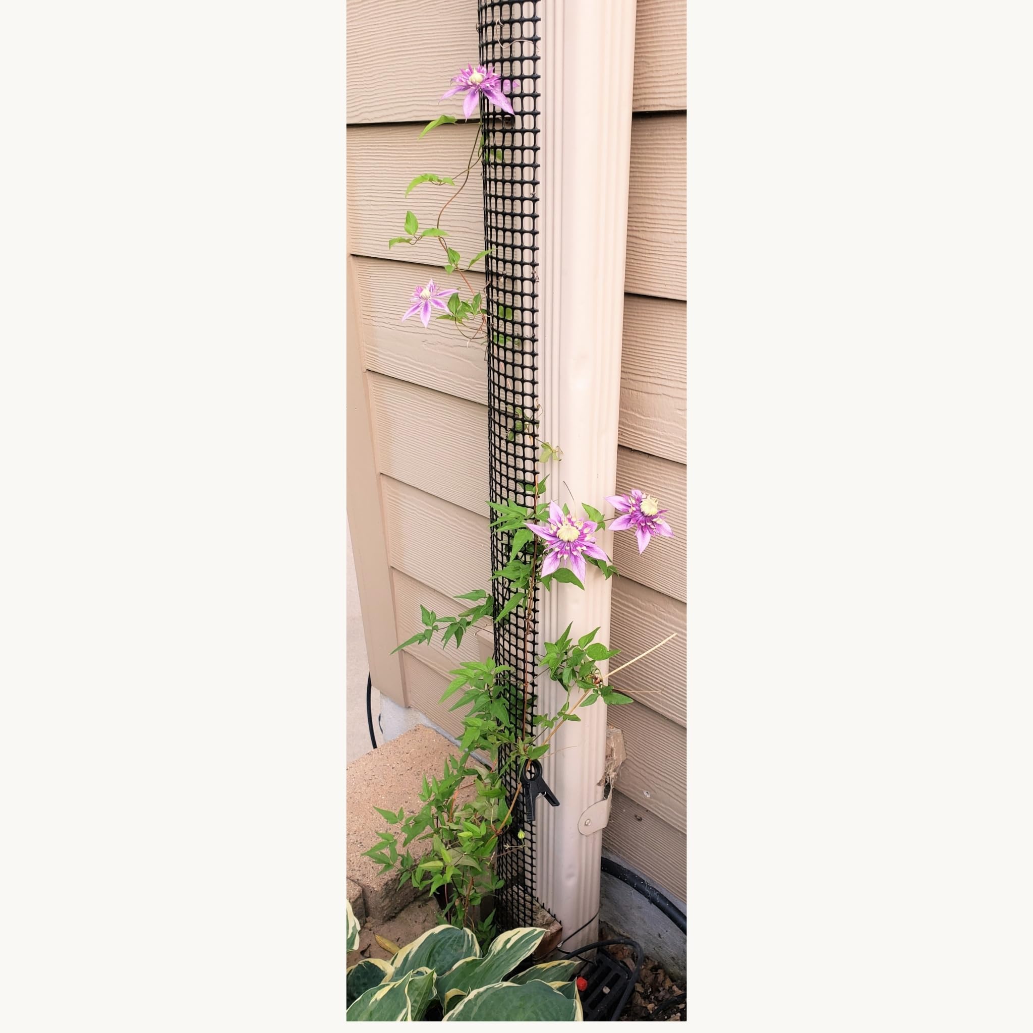Downspout Trellis 9 ft x 4 in Plant Support That Anchors Wide Climbing Plants, Mounts to Rain Gutters, HDPE Mesh with Mounting Hardware for Clematis and Vines, Scroll Trellis 1-Pack