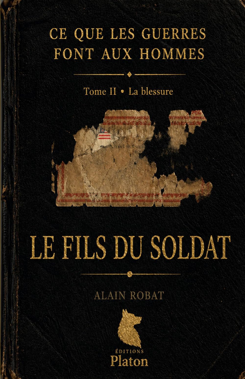 Le Fils du Soldat: Tome II • La Blessure (Ce que les guerres font aux Hommes)
