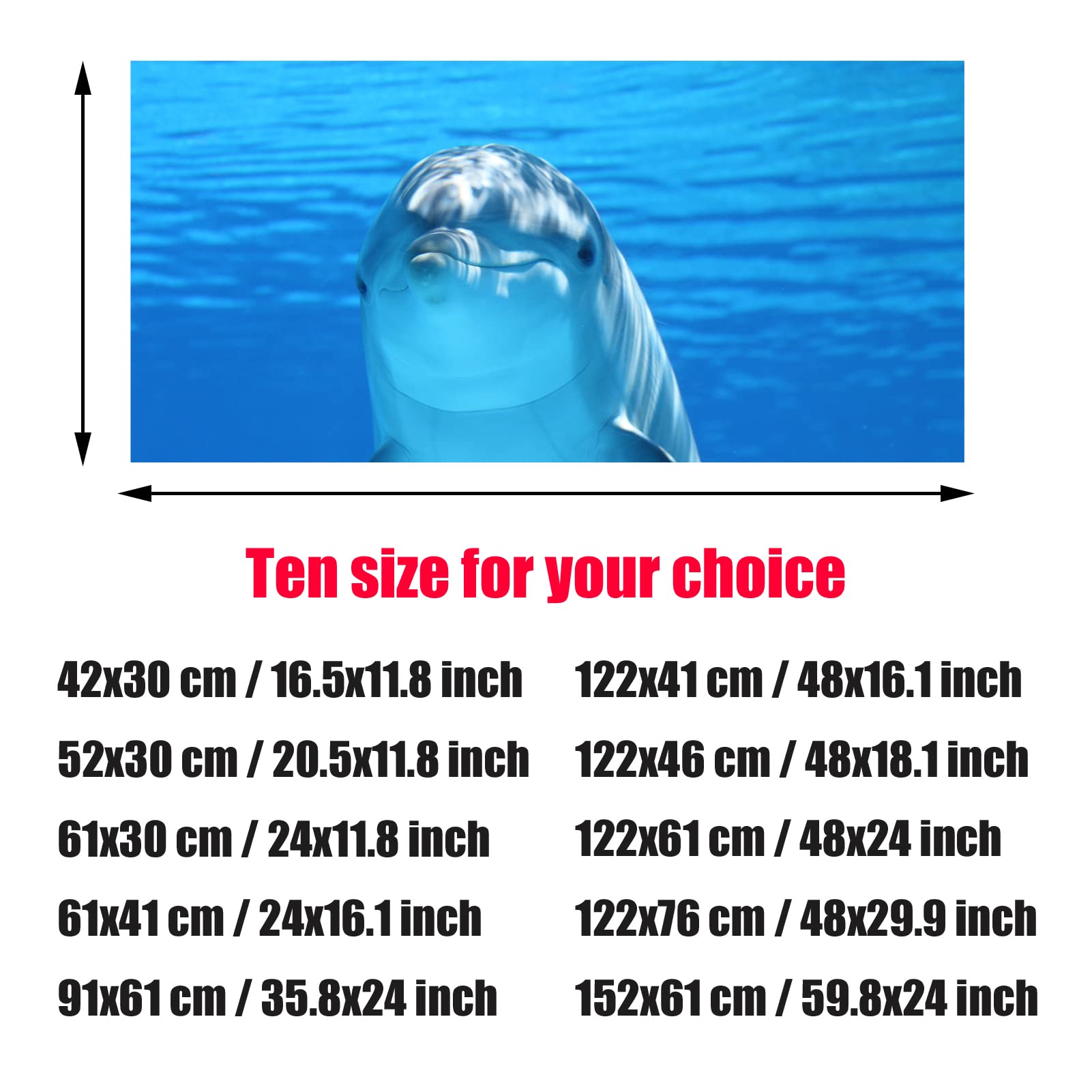 NIMOSA Adesivo sfondo acquario, adesivo per acquario, sfondo acquario, delfini oceanici in PVC, sfondo acquario, poster subacqueo, decorazione murale, 122 x 76 cm