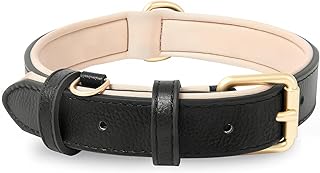 HEELE Adjustable Dog Collar with Padded and Genuine Leather for Puppies, Small, Medium, Large Dogs product image
