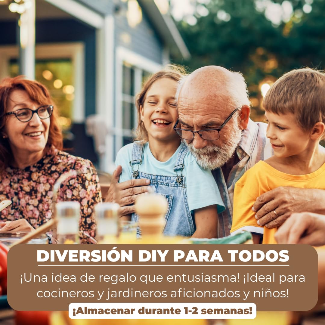 Hawlik Pilzbrut - Juego de cultivo XXL - 2 cajas de cría de champiñon portobello - setas autocultivo - fácil de cultivar champiñones - sin conocimientos previos - kit cultivo setas