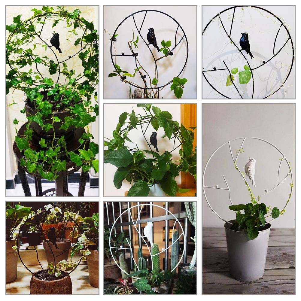 Amazon | Vanow 園芸支柱パーツ - つる植物サポート 花ささえ