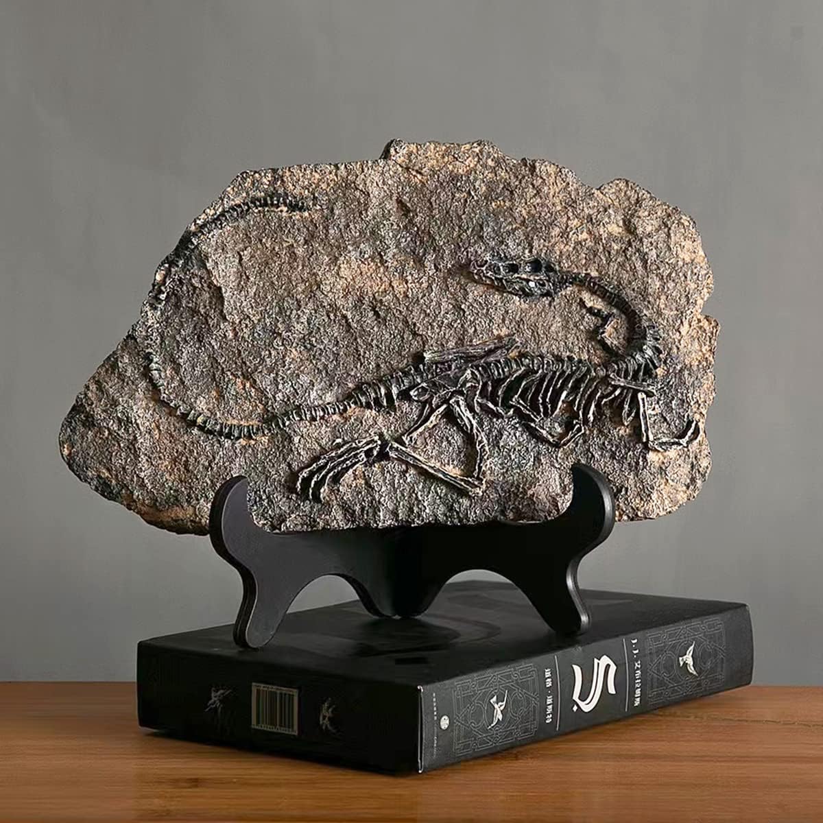FUNSXBUG Resin Dinosaur Skeleton Fossil Statue Figurines Sculpture Collectibles Home Office Desktop Display Decoration (Dinosaur 2)