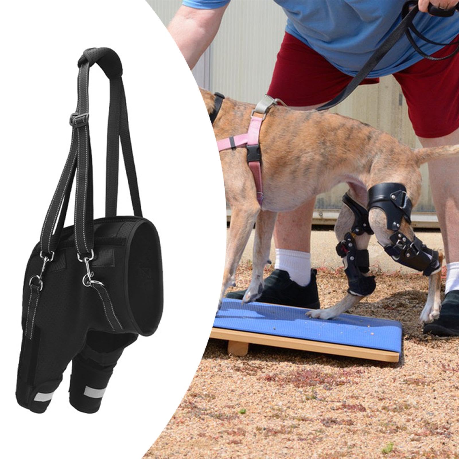Generic Arnés de Asistencia para Las Patas Traseras de Perros con Patas Traseras Débiles, con Tira Reflectante, Arnés Elevador para Perros, Xl